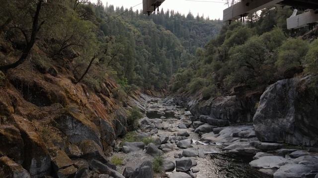 Mosquitto Bridge смотреть онлайн