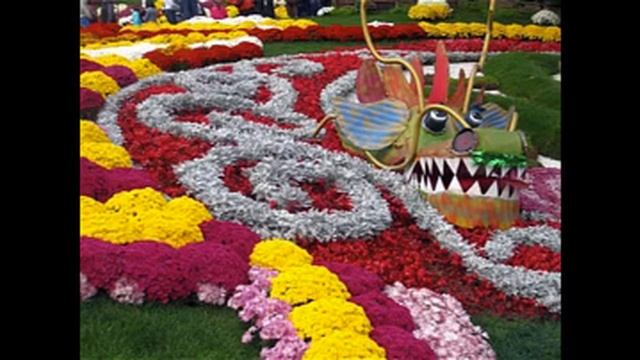 Окружающий мир 2 класс, Перспектива, с.82-85, тема урока «Чудесные цветники осенью» смотреть онлайн