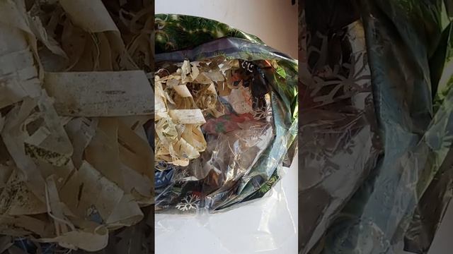 Не когда не пользуйтесь огнивом это очень сложно.Сухая береста розжиг смотреть онлайн