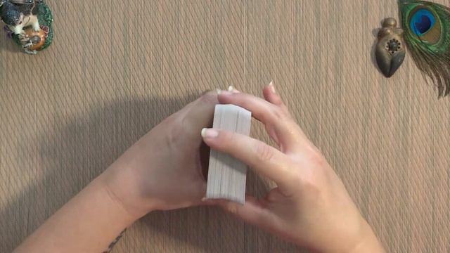 Deck Collection Series: My Animal Decks (Tarot & Oracle) смотреть онлайн