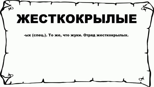 ЖЕСТКОКРЫЛЫЕ - что это такое? значение и описание смотреть онлайн