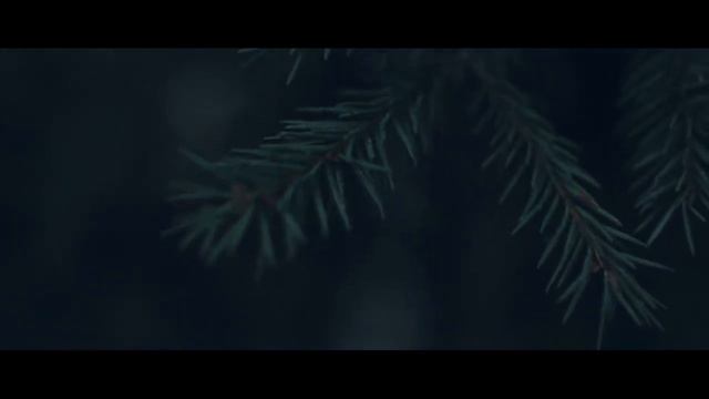 Dark Nature смотреть онлайн