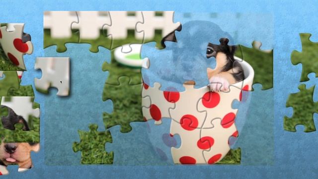 Adorable Cute Puppy Dog in a Cup - Dog Jigsaw Puzzle Games for Children with Nursery Rhymes смотреть онлайн