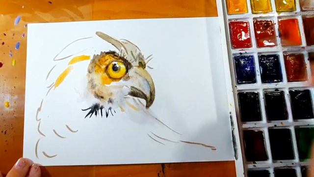 Сова рисунок. Как рисовать сову. смотреть онлайн