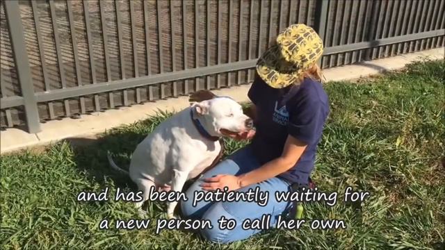 A1195868 NICKIE *RED ALERT URGENT*