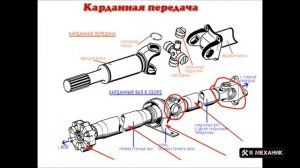 Устройство карданной передачи автомобиля