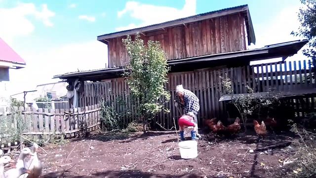 Влог:Помогаем соседу /Какие ворота я хочу/Копаем с Жориком картоху смотреть онлайн