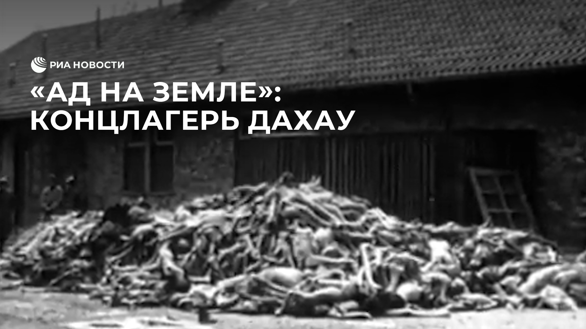 Концлагерь Дахау смотреть онлайн