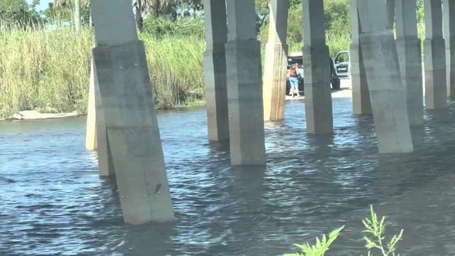 🔴 Как МНОГО ПРОДУКТОВ в АМЕРИКЕ 🔴 обзор ЦЕН Aldi Orlando Florida USA 06.06.2023 смотреть онлайн