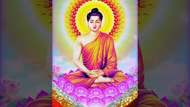 ,pháp môn niệm Phật thoát ly sanh tử luân hồi смотреть онлайн