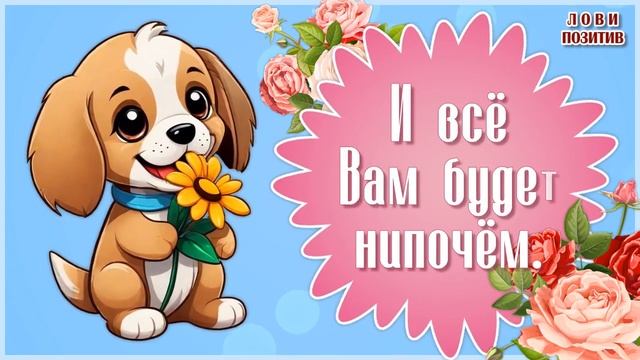 День Приветствий. Поздравление с Днем Приветствий. Всемирный День Приветствий смотреть онлайн