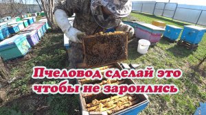 ПЧЁЛЫ ЗАЛИЛИ ГНЁЗДА И ЗАБИЛИ ПЕРГОЙ, СРОЧНОЕ РАСШИРЕНИЕ ИНАЧЕ ВОЙДУТ В РОЕНИЕ.