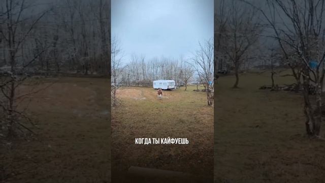 Кайф от этой жизни, от того, что ты делаешь, что ты любишь - он передаётся как вирус. 🥰#reels смотреть онлайн
