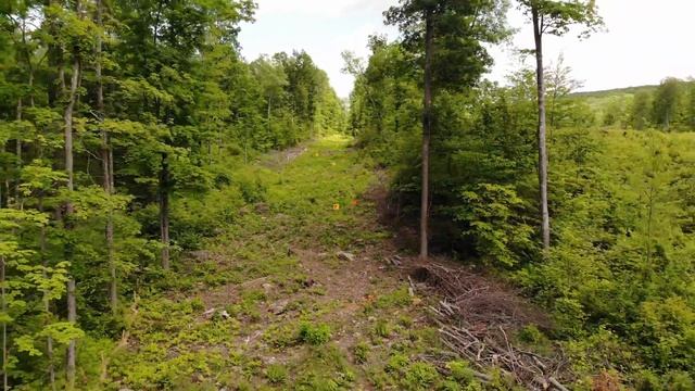 How far is 500 yards? Longrange Rifle Range (original speed) смотреть онлайн