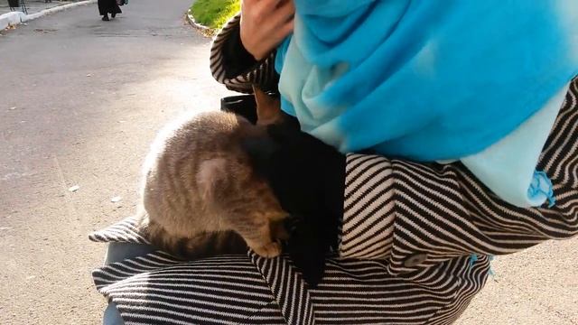 Звенигородский филиал шоу-труппы им. Юрия Куклачева смотреть онлайн