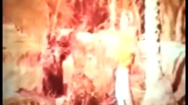 Haci Soltan Alizade Mazandaran Pelengi امامعلی حبیبی Imamali Habibi Filmlerden Sehneler