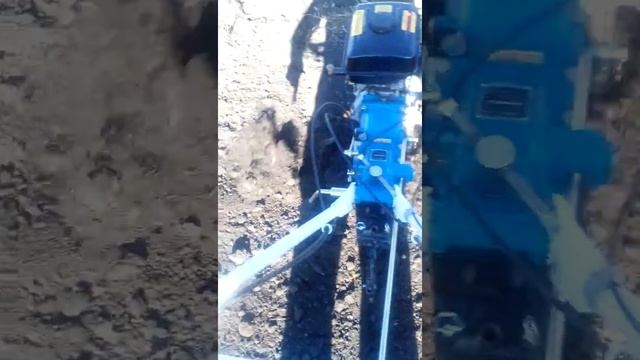 Мотоблок Prorab GT 736 SK Работаем фрезами по "тяжелому" грунту. смотреть онлайн