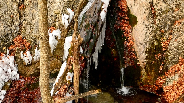 DSC_5511 смотреть онлайн