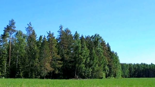 ПАВЛОВСКИЙ ПОСАД ЛЮБИМЫЙ ГОРОД!!! смотреть онлайн