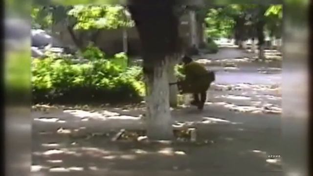 Народному ополчению 29 лет смотреть онлайн