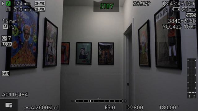 Maddening Red Komodo Issue смотреть онлайн