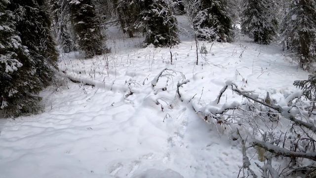 С Новым Годом! смотреть онлайн