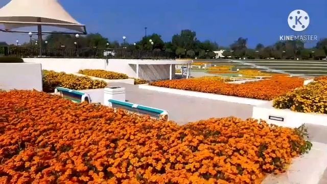 AL-MAMZAR BEACH/ PARK #DUBAI смотреть онлайн