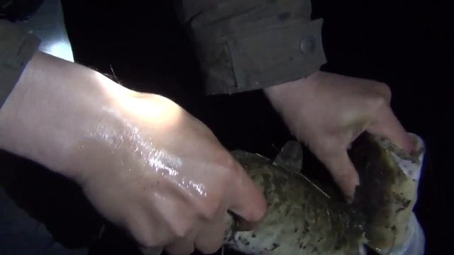 Рыбалка щука Как убить щуку Рыбалка на щуку Ловля щуки Жесть охота тайга лес природа выживание смотреть онлайн