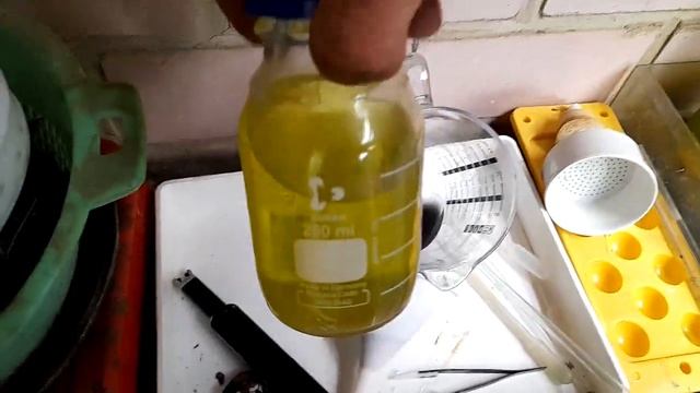 Анонс в промежутке переработки, из 2 кг.оперативок 130г.ламелий смотреть онлайн