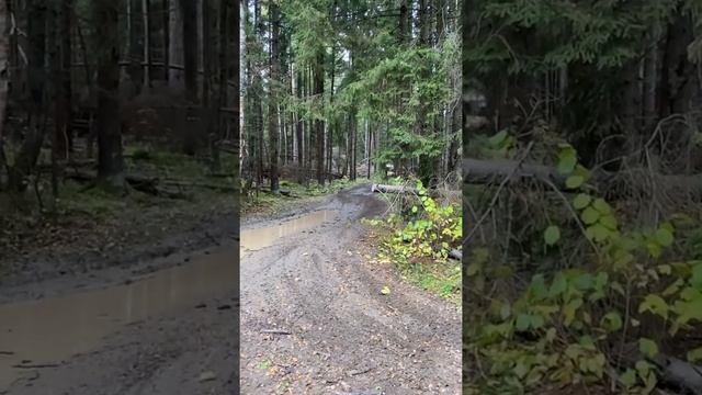 Бесшумная электро бестия! Электро багги 4х4 SE Terra смотреть онлайн