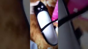 Мои школьные туфли