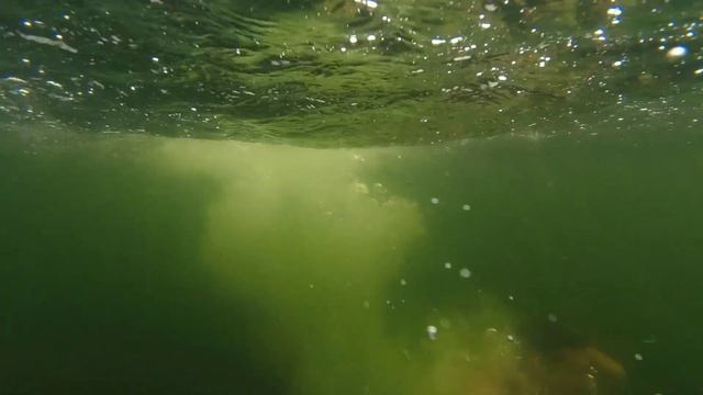 ?? Озеро Яльчик , Марий Эл, август 2021 смотреть онлайн