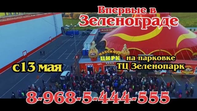 Цирк «Максимус» в Зеленограде смотреть онлайн