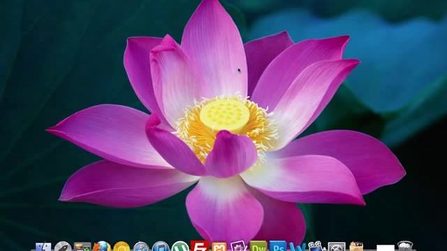 Building a CMS with PHP part 1 смотреть онлайн
