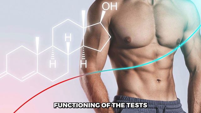 10 Foods that ACTUALLY Boost Testosterone смотреть онлайн