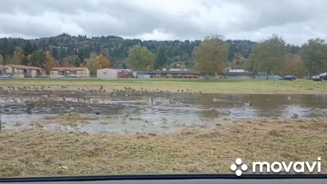 Вашингтон США, осень, природа. смотреть онлайн