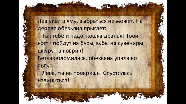 Десятка анекдотов про животных Выпуск 3 смотреть онлайн