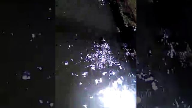 Franklin park zoo (part 4)bottle flip challenge смотреть онлайн