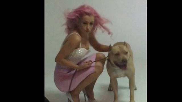 Лиля Киш и PIT BULL - фотосесия смотреть онлайн