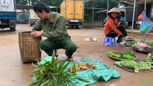 Harvest Spicy Ginger Root And Bring It To The District Market To Sell For Money,build Daily Life