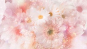 Video Background HD 1080. Нежно розовый футаж