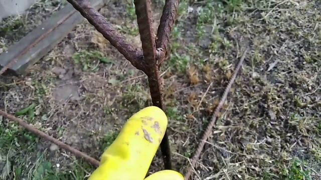 муравьи атаковали улей с пчёлами