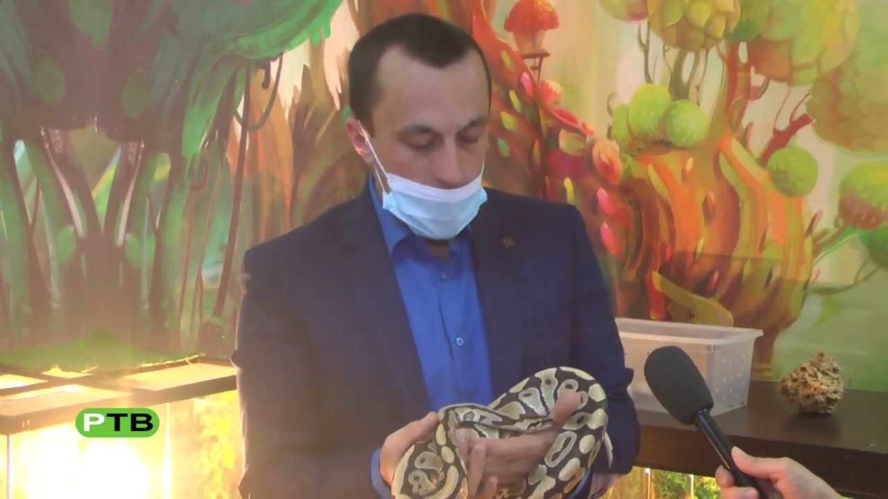 Мир дикой природы смотреть онлайн