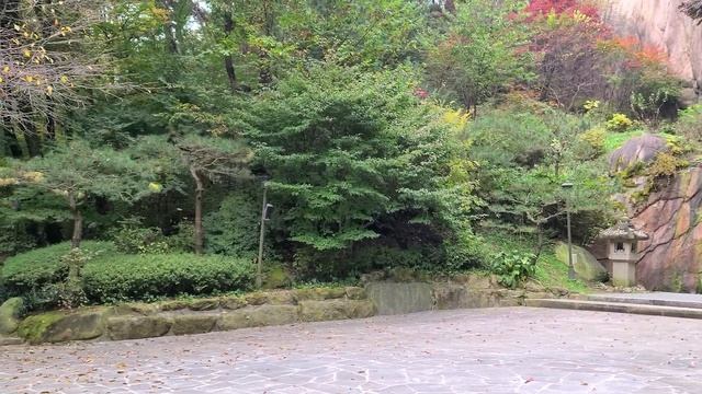 [4K] What Do Autumn Leaves Look Like at Seokpajeong in Seoul, South Korea? смотреть онлайн