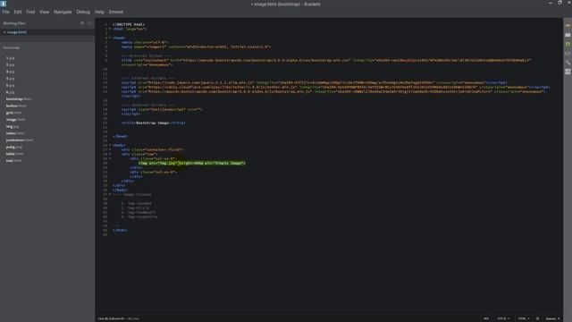Bootstrap Image & Its Classes | Bootstrap Tutorial In Tamil смотреть онлайн