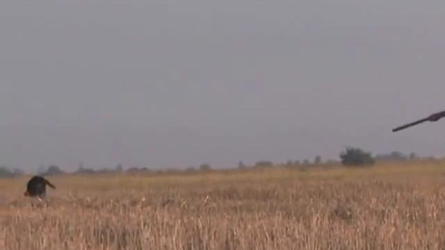Quail hunting смотреть онлайн