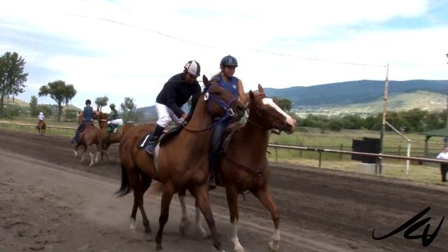 American Quarter Horse Race at Vernon Kin Race Track - July 14 - YouTube смотреть онлайн