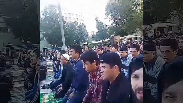 Я и мой друга мухьаммад башир смотреть онлайн