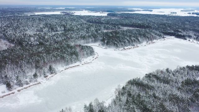 Посёлок в Беловежской Пуще Волкоставец . Хутор на границе с Польшей смотреть онлайн