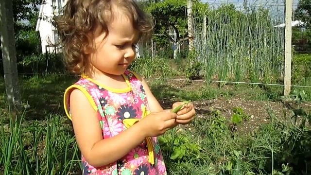 ВЛОГ Играем с котятами Видео для Детей | VLOG Поездка на дачу Video for children смотреть онлайн